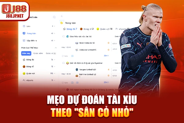 Mẹo dự đoán tài xỉu theo "Sân cỏ nhỏ"